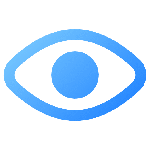 vision